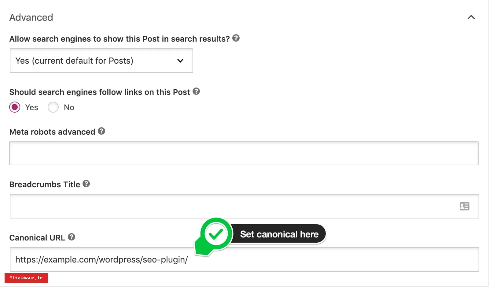 مدیریت پیشرفته rel=canonical در وردپرس: رویکرد حرفه ای برای سئو و جلوگیری از محتوای تکراری